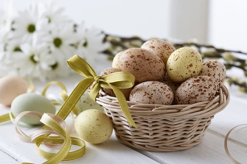 Speckled natural eggs in a wicker basket tied with a green ribbon on a white wooden table with flowers and ribbons around