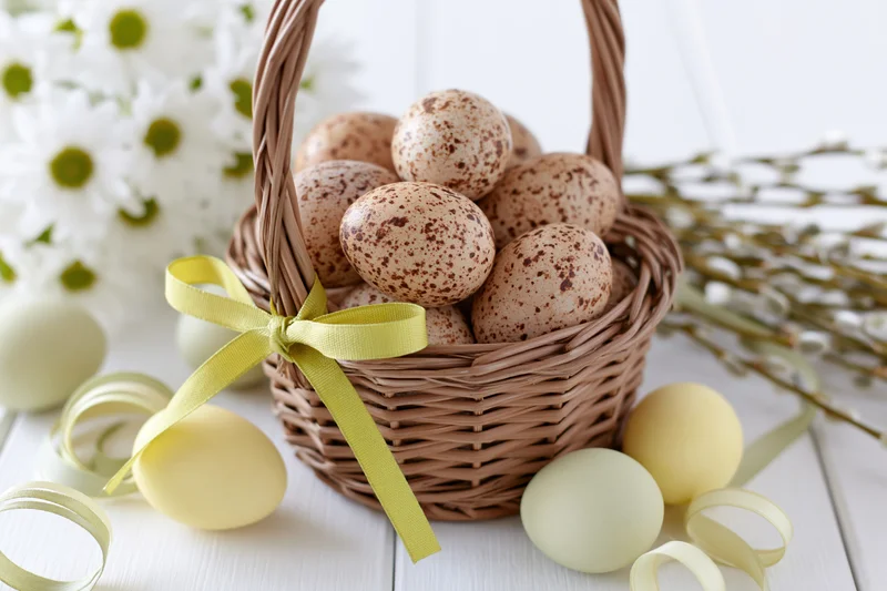 Wicker basket filled with speckled natural eggs tied with yellow ribbon on white table with spring flowers and pastel eggs around