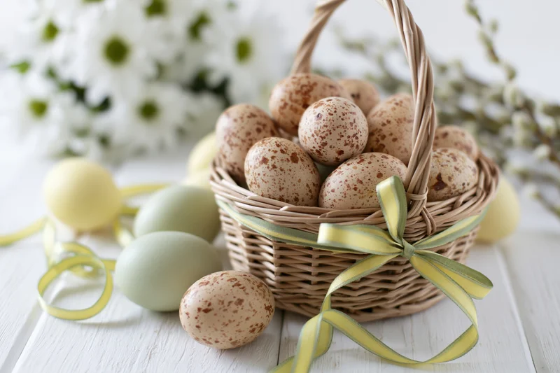 Wicker basket filled with speckled natural eggs tied with yellow ribbon on white wooden table near white flowers