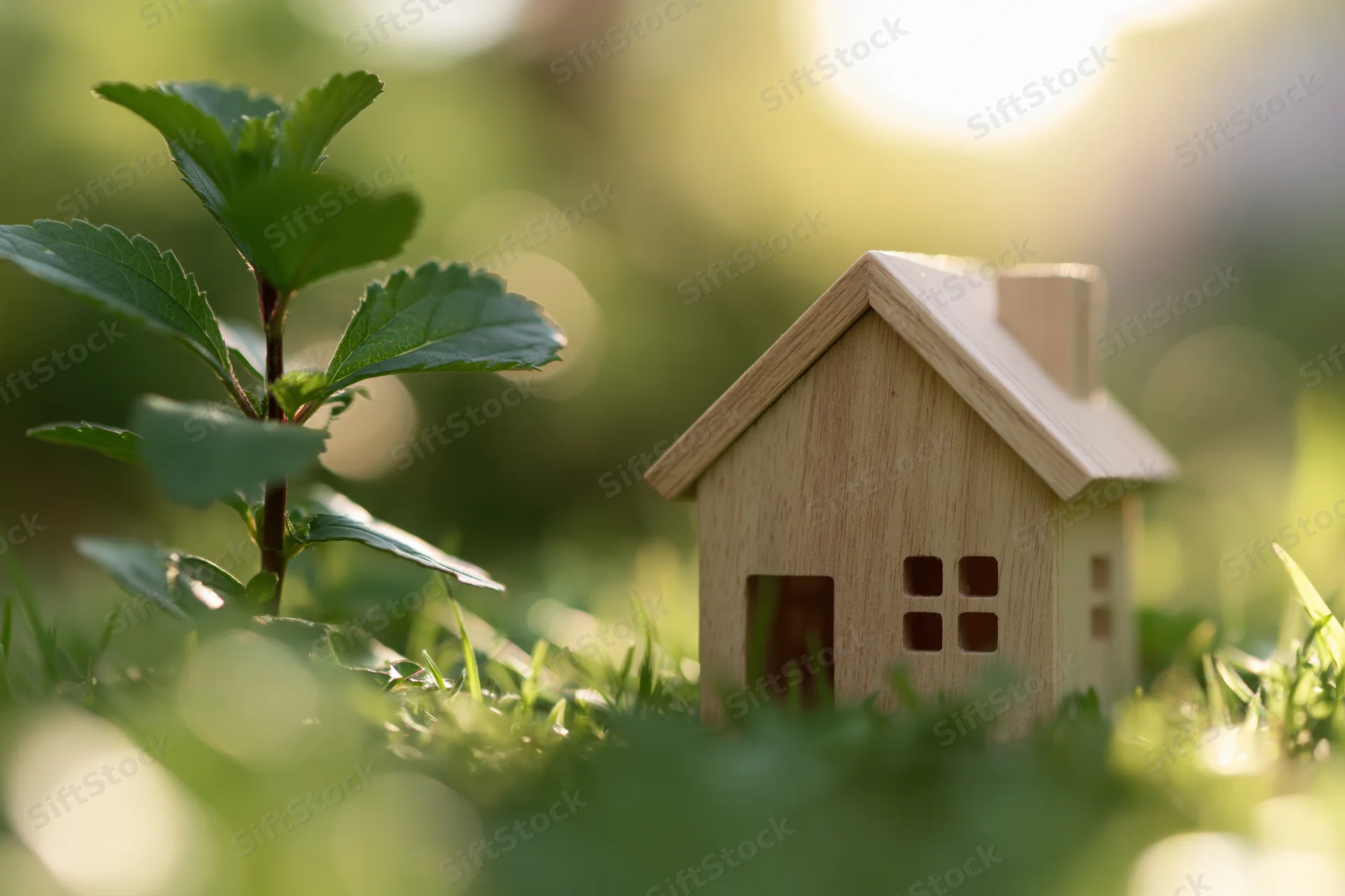 Small wooden house model on green grass beside a young plant in sunlight