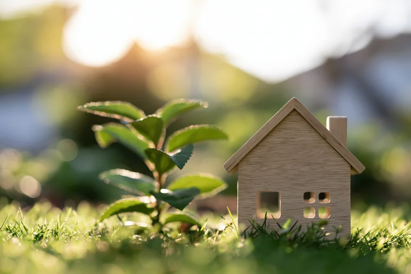 Small wooden house model on green grass beside a young plant in sunlight