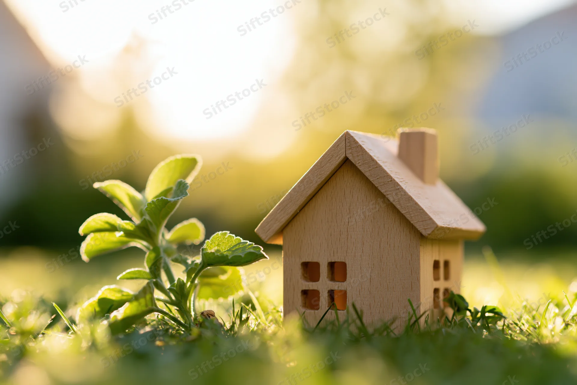 Small wooden house model sitting on green grass beside a young plant in sunlight