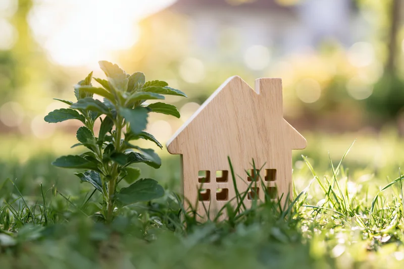 Wooden house model on green grass beside a small plant in a garden setting