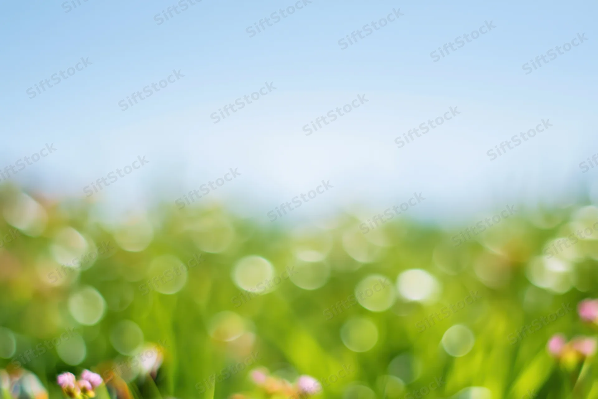 Soft blurred meadow with green grass and pink flowers under blue sky