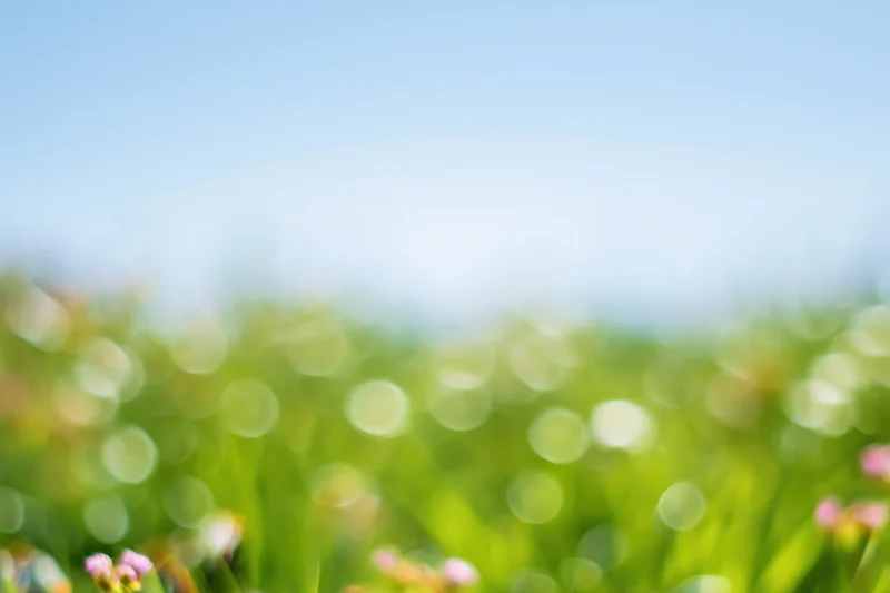 Soft out-of-focus outdoor meadow background no clear subject