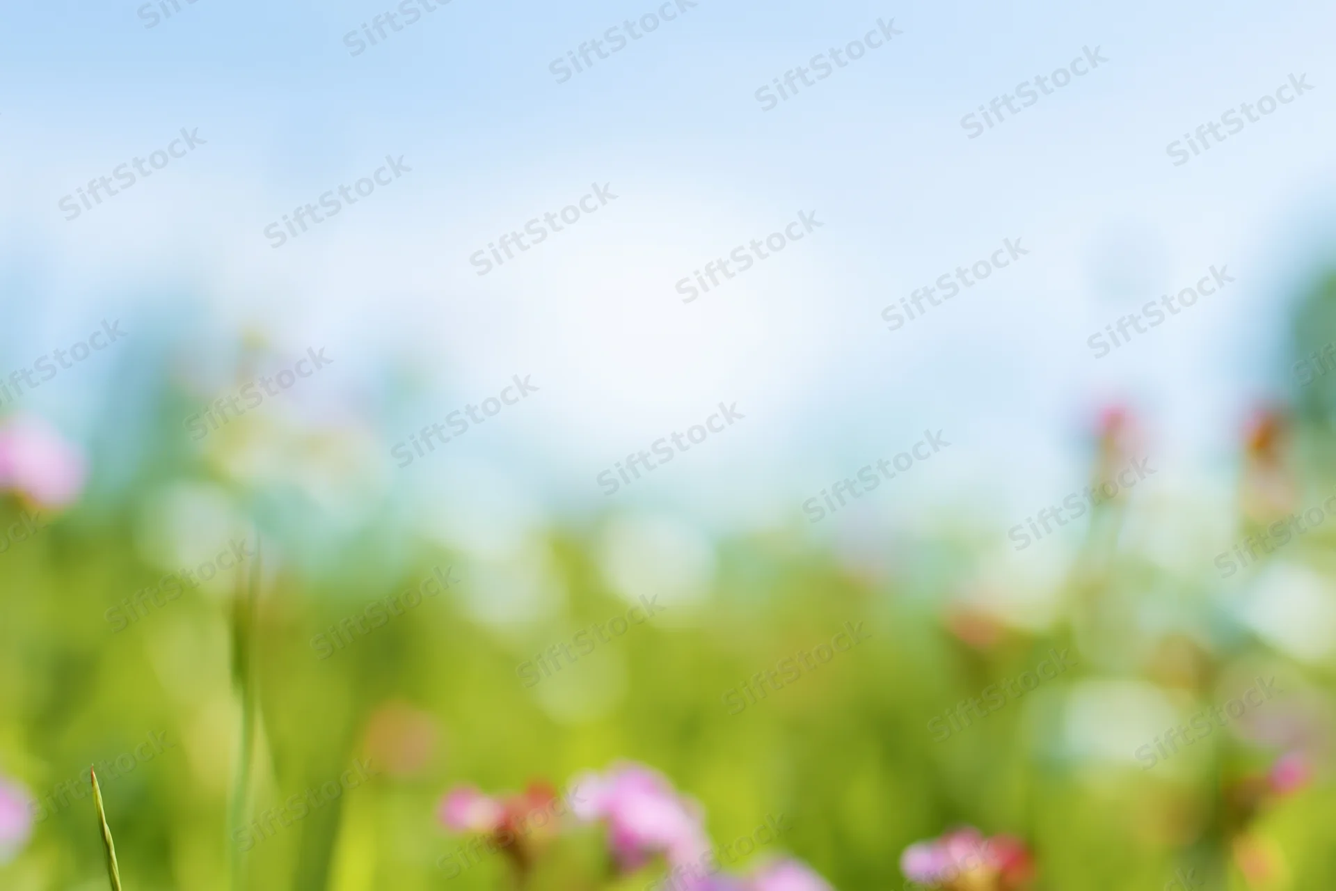 Soft blurred meadow with green grass and pink flowers under blue sky