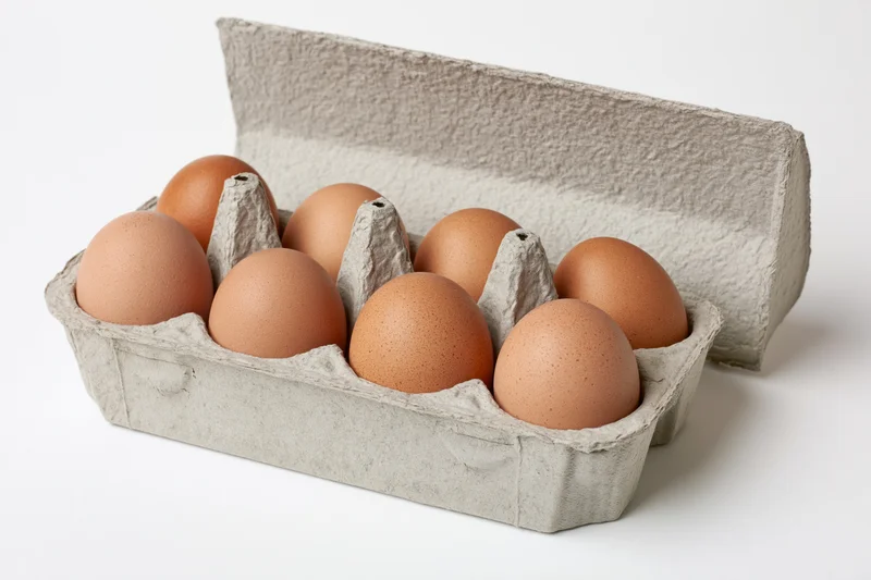 Ten brown eggs arranged in an open gray recycled cardboard carton on a white surface
