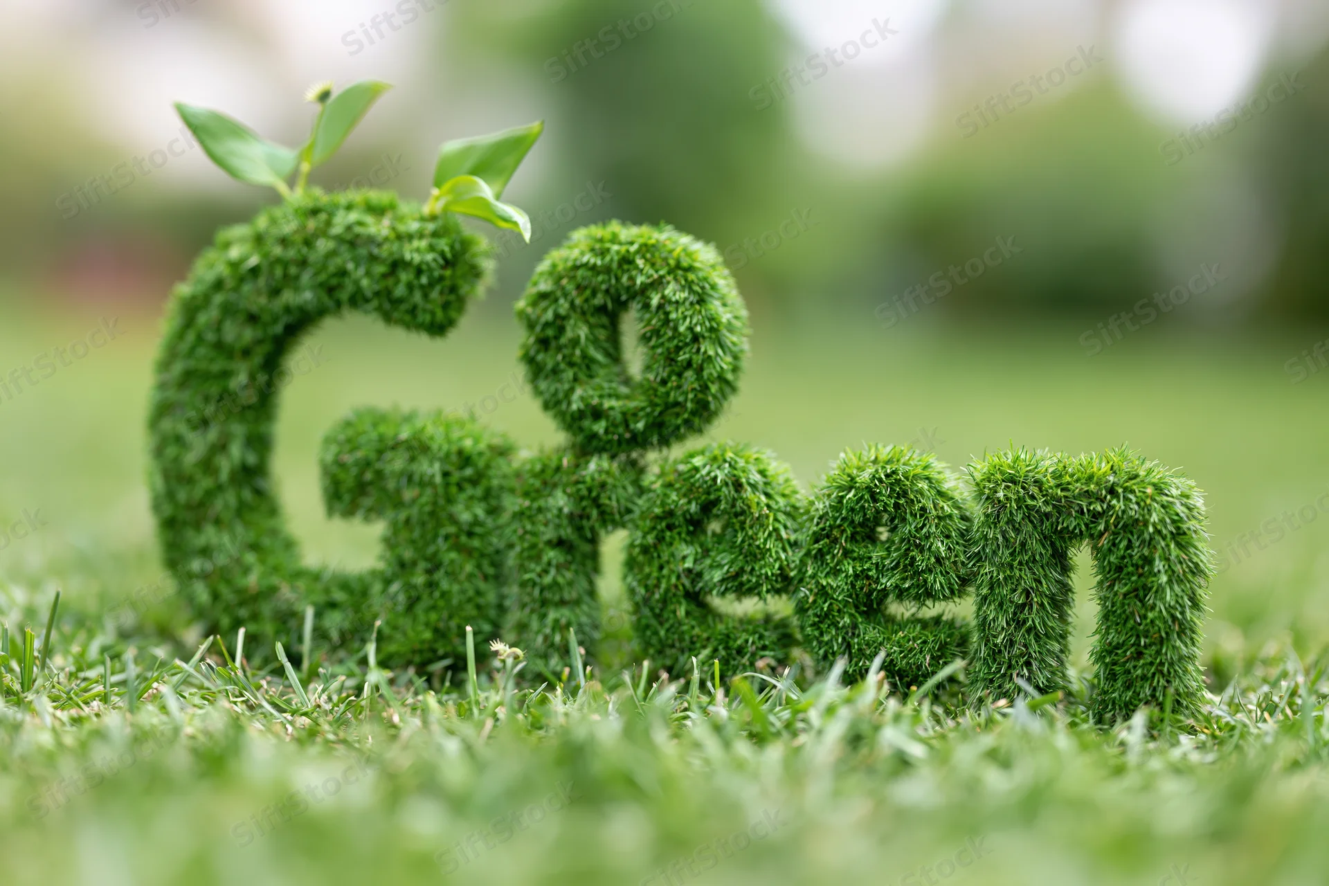 Three-dimensional grass letters spelling Go Green on a lawn