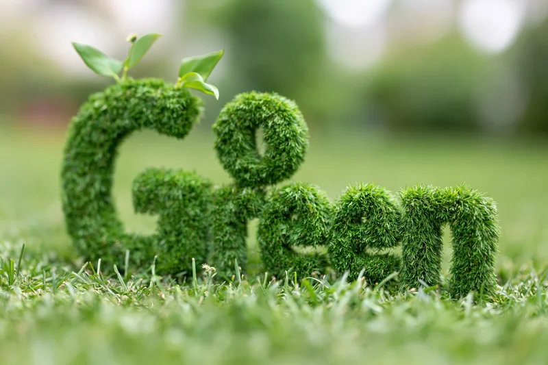 Three-dimensional grass letters spelling Go Green on a lawn