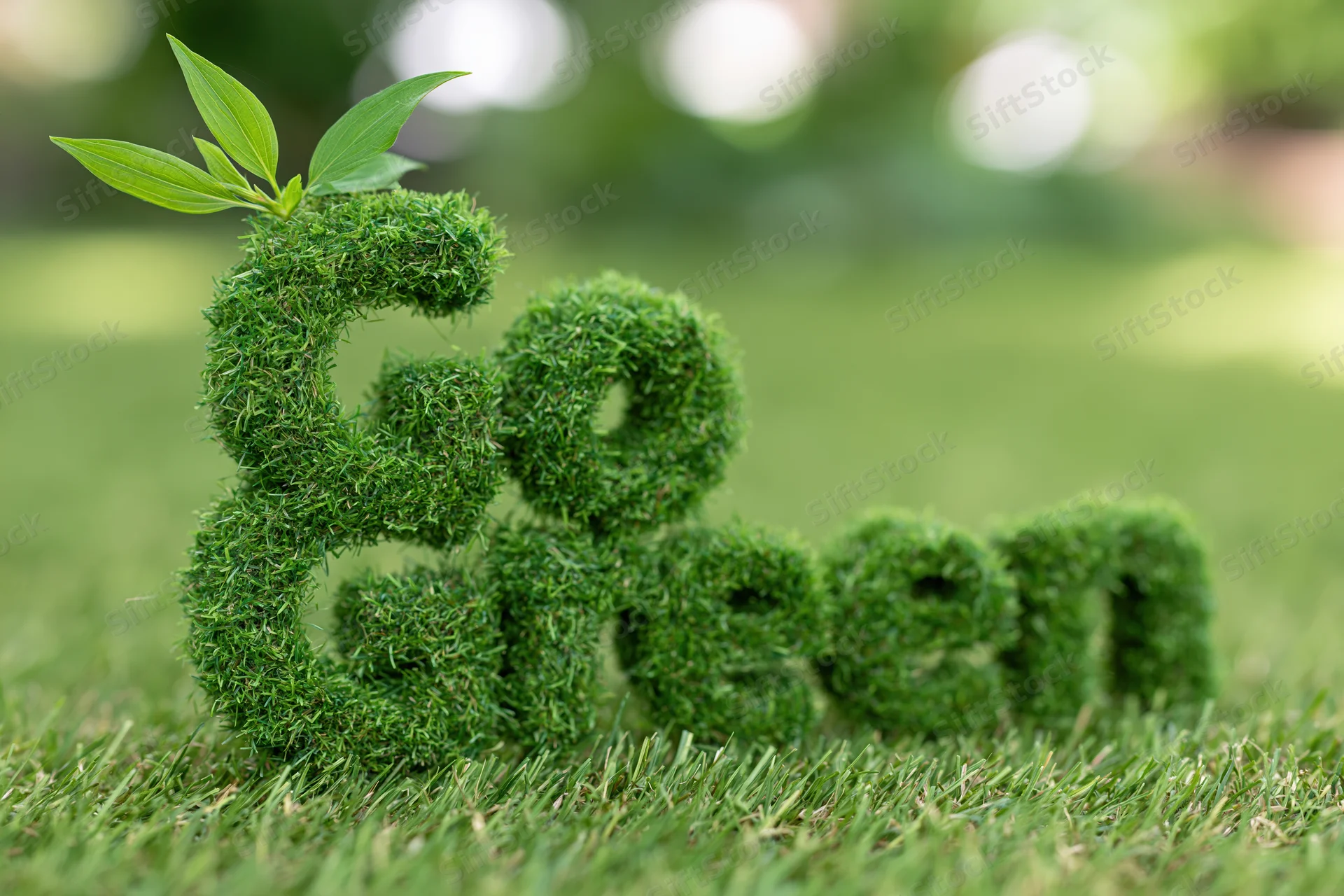 Three-dimensional moss-covered letters spelling go green on a grassy lawn with a sprouting leaf on top