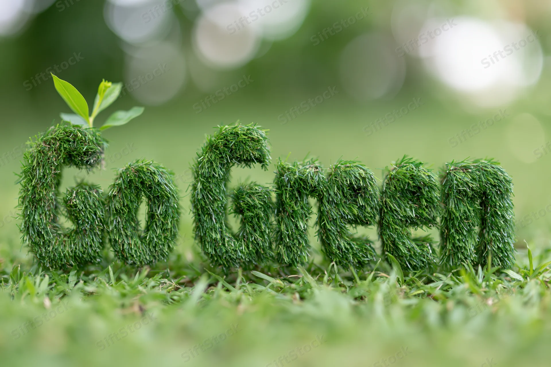 Three-dimensional grass letters spelling go green on a lawn with a small sprout on top