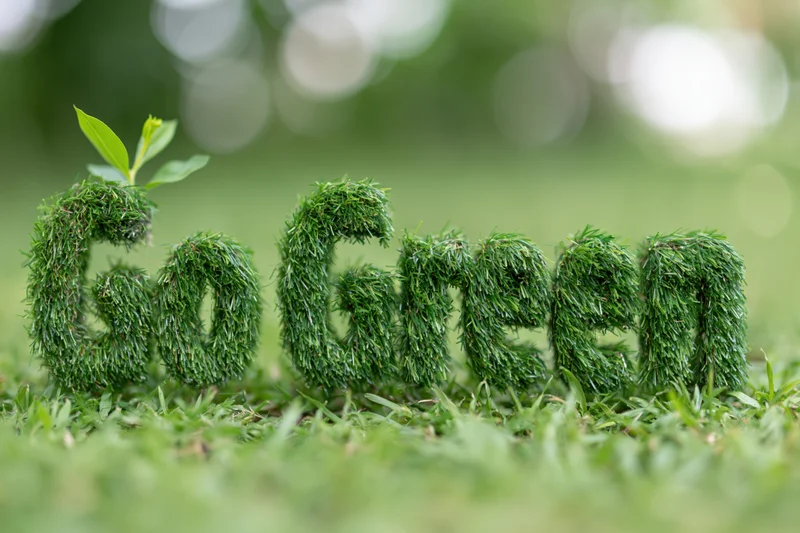 Three-dimensional grass letters spelling go green on a lawn with a small sprout on top