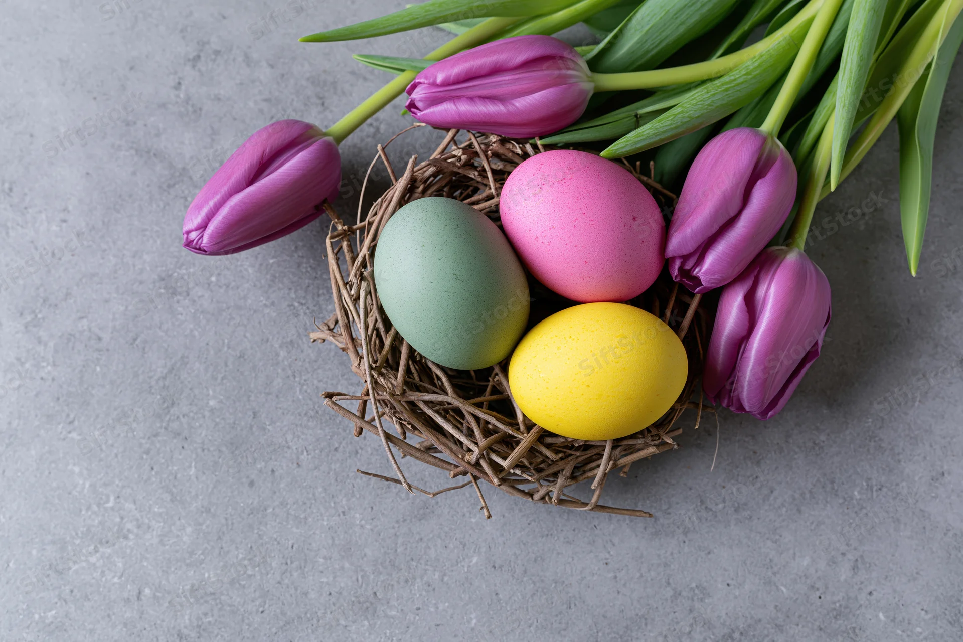 Three dyed easter eggs in green pink and yellow resting in a twig nest beside purple tulips on a gray surface