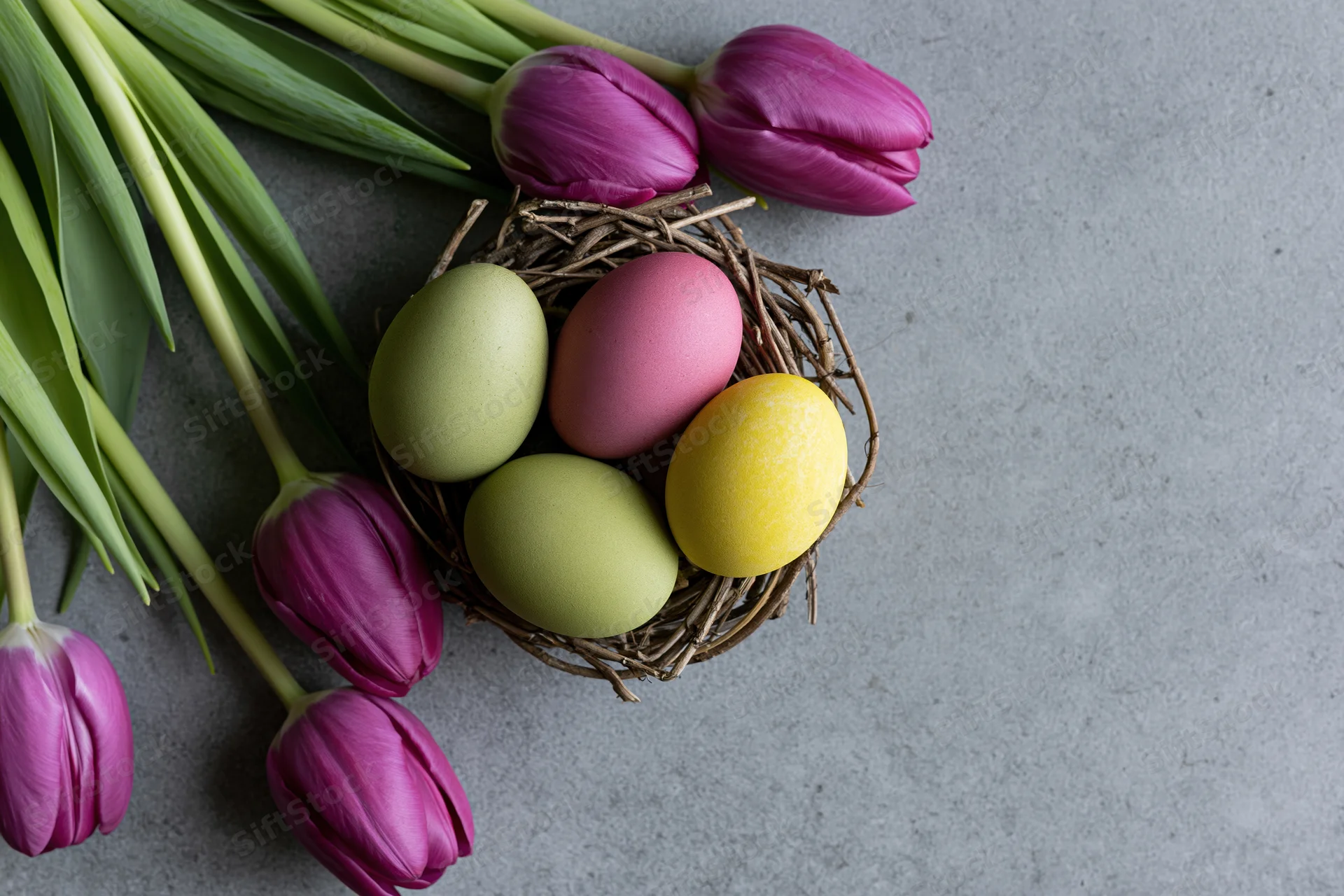 Dyed easter eggs in a twig nest beside purple tulips on a gray surface