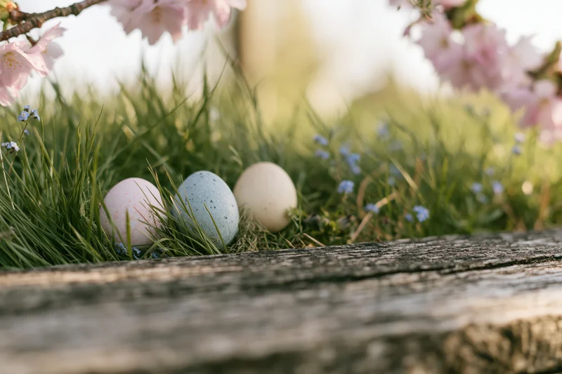 Three painted easter eggs resting in green grass beneath cherry blossoms near a wooden plank