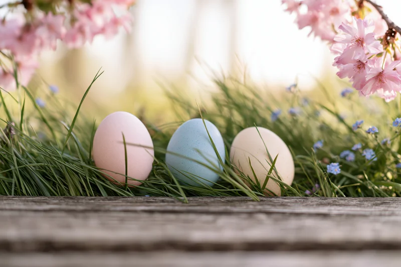 Three painted easter eggs resting in green grass beneath cherry blossoms on a wooden deck