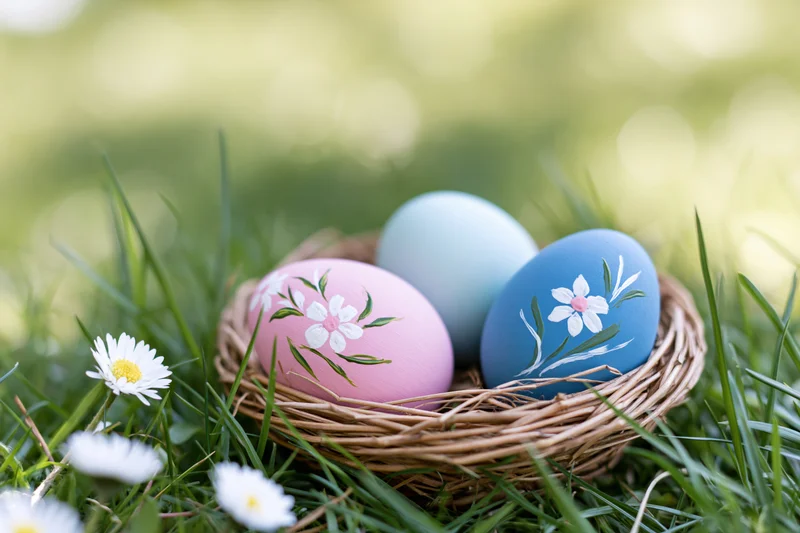 Three pastel-painted easter eggs with floral designs in a wicker nest on green grass with daisies