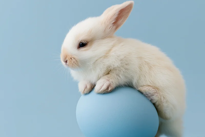 Tiny white fluffy baby rabbit resting its front paws on a blue sphere against a light blue background