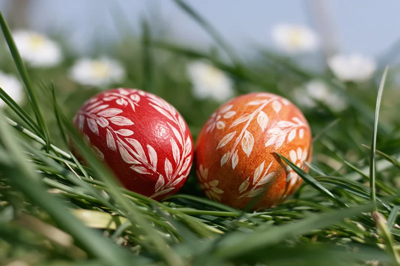 Two hand-painted easter eggs with white floral patterns resting in green grass