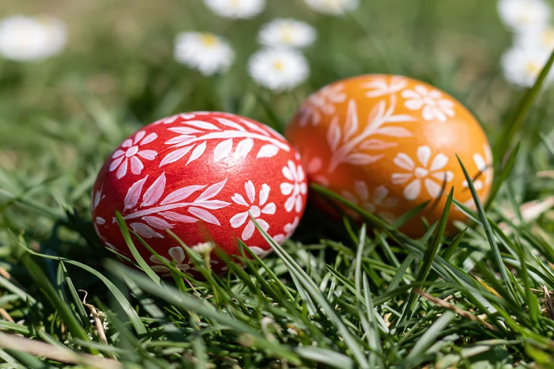 Two hand-painted easter eggs with white floral patterns resting in green grass among daisies