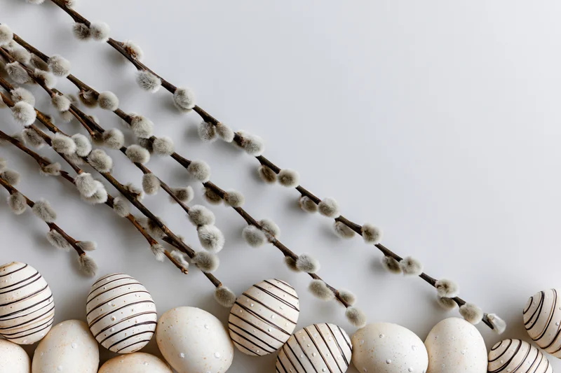 White striped Easter eggs and willow branches arranged on a plain surface with copyspace