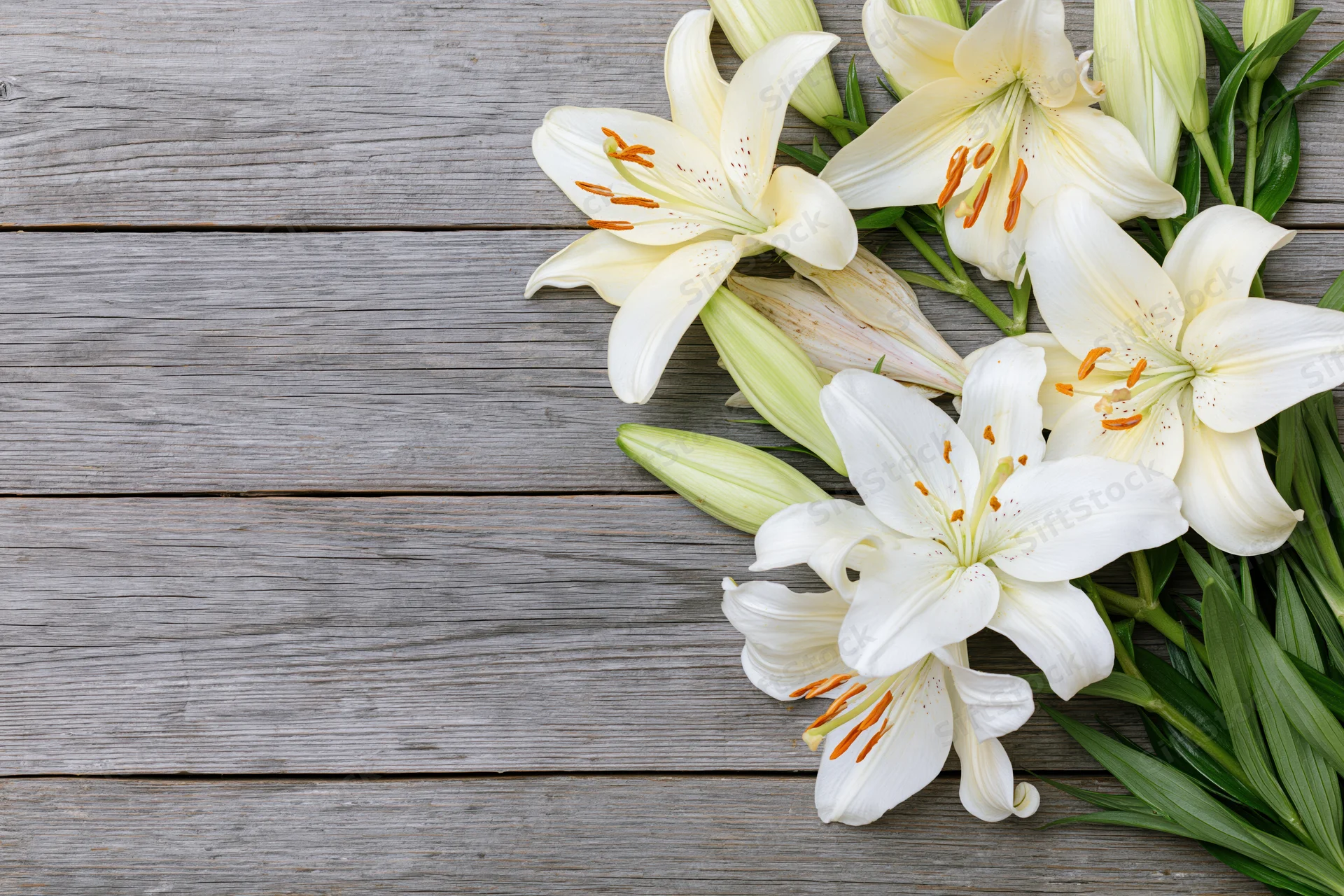 White lilies with open blooms and closed buds arranged on a weathered wooden surface