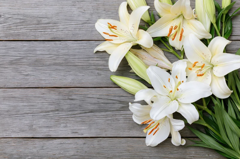 White lilies with open blooms and closed buds arranged on a weathered wooden surface