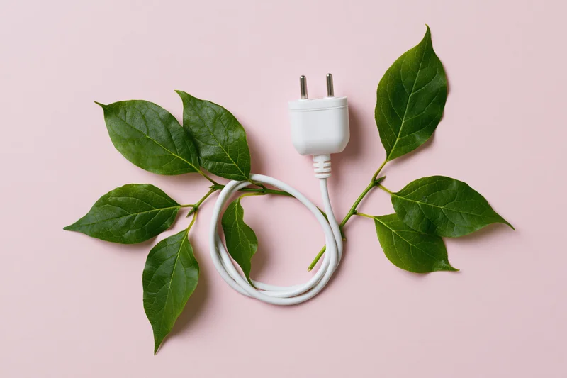 White electric plug with coiled cord arranged among green leaves on pink background