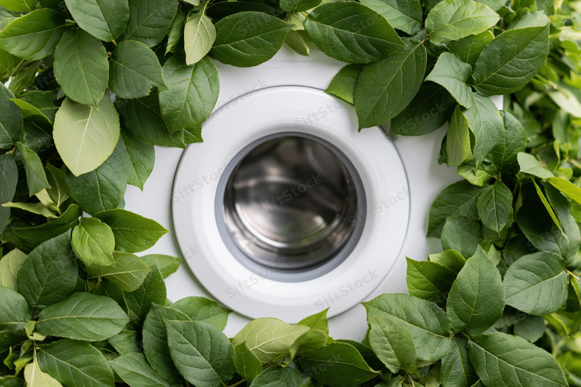 White front-loading washing machine drum door centered and framed by green leaves