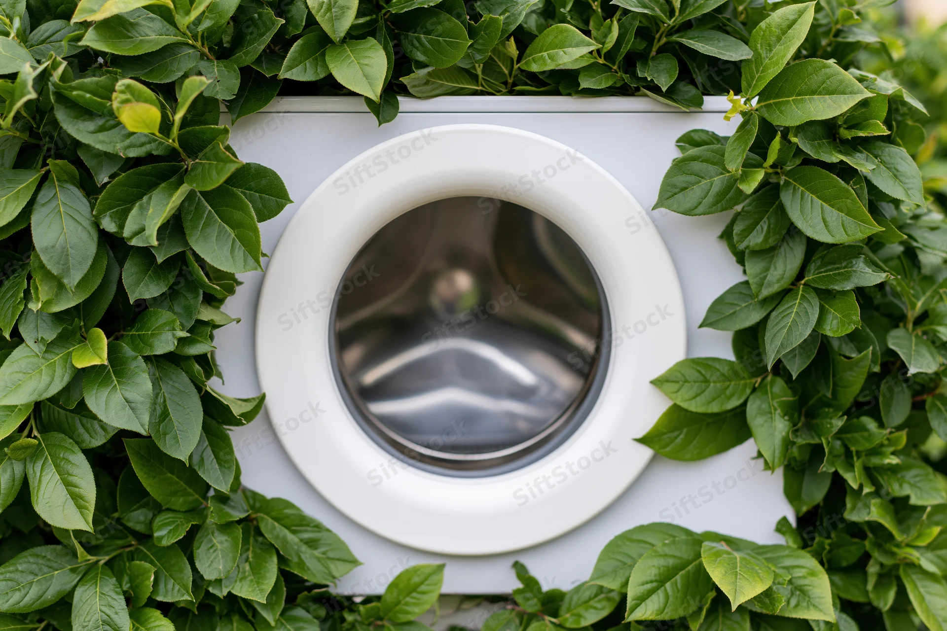 White front-loading washing machine drum door centered and framed by green foliage