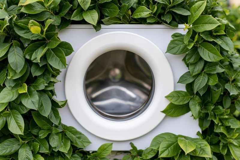 White front-loading washing machine drum door centered and framed by green foliage