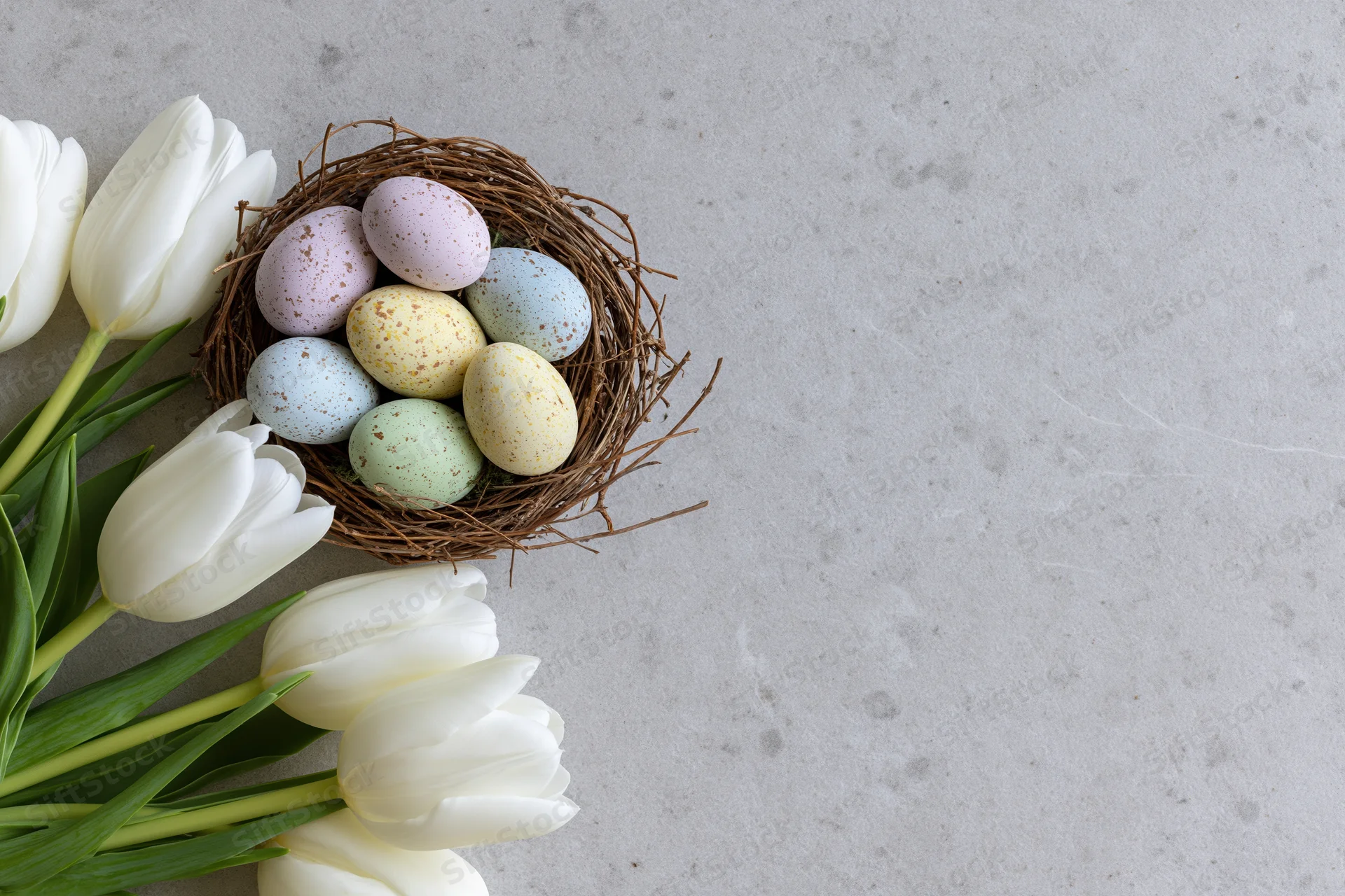 White tulips with green stems arranged beside a nest of pastel speckled eggs on a gray concrete surface
