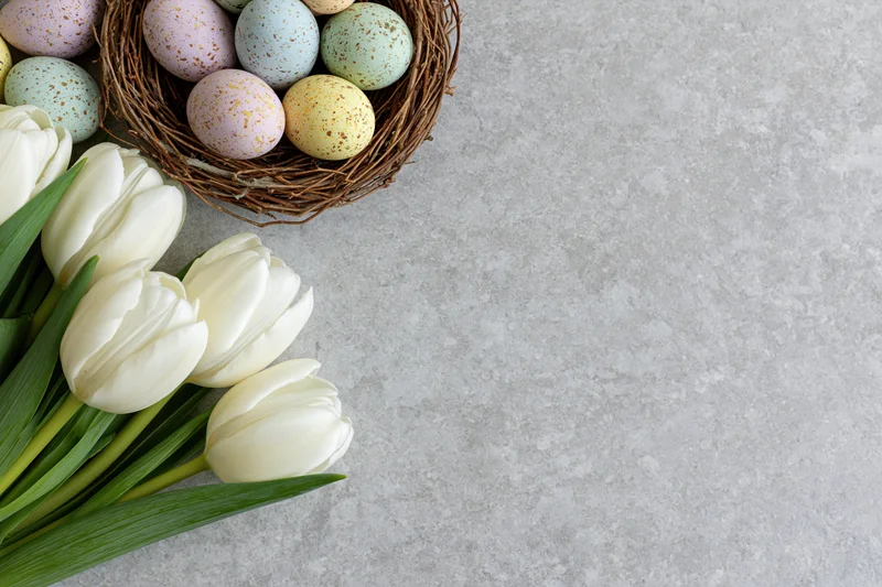 White tulips with green stems arranged beside a wicker nest of speckled pastel eggs on a gray textured surface