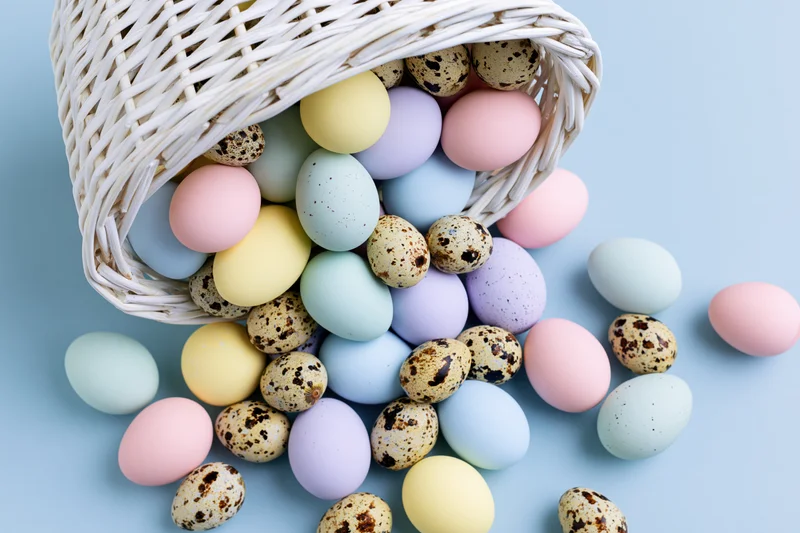 White wicker basket tipped over spilling pastel-dyed and speckled eggs onto a light blue surface