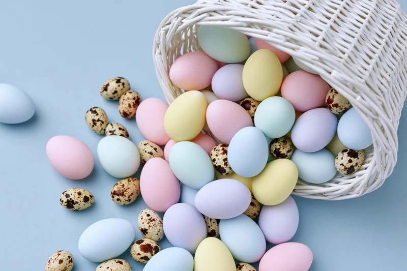 White wicker basket tipped over spilling pastel-dyed eggs and quail eggs onto a light blue surface