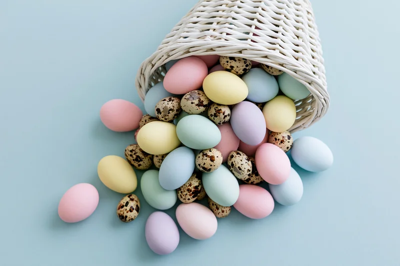 White wicker basket tipped on its side spilling pastel-dyed and speckled quail eggs onto a light blue surface