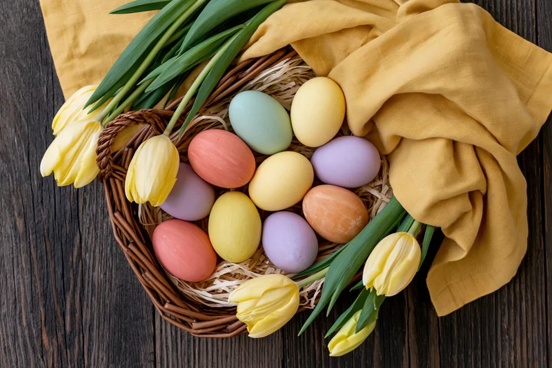 Wicker basket filled with hand-painted pastel easter eggs and yellow tulips on dark wooden table with mustard cloth