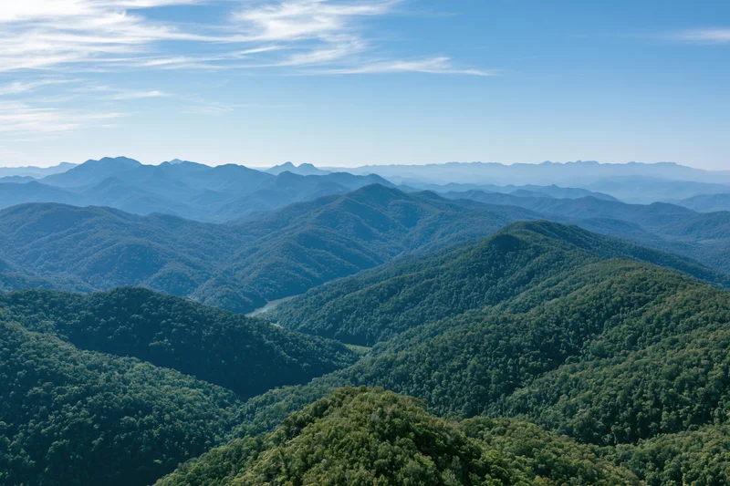 Rolling forested hills receding into the distance under a clear blue sky