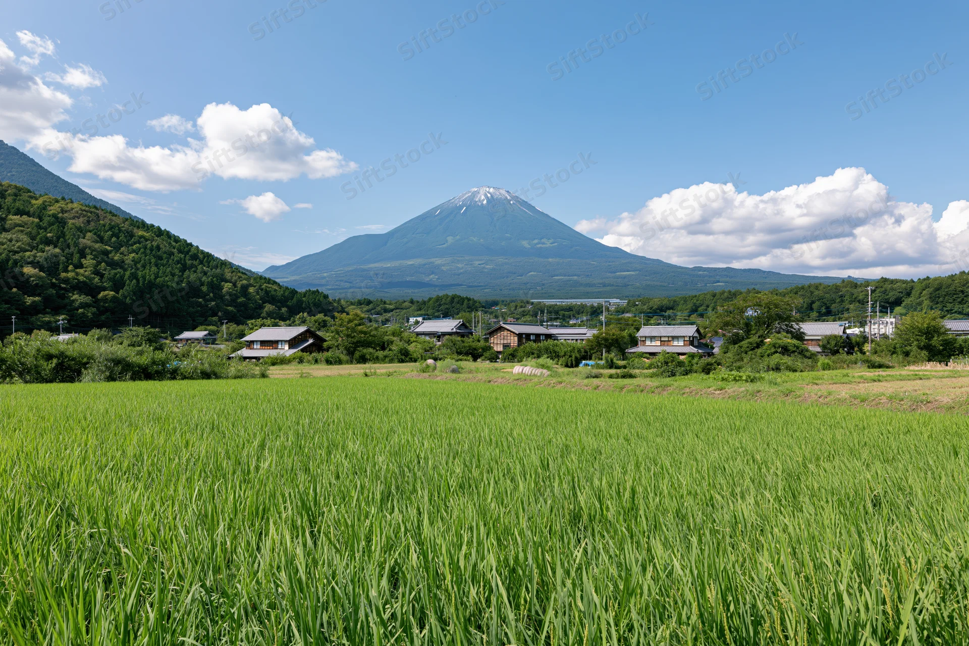 Mount fuji rising behind a rural village with rice fields in japan