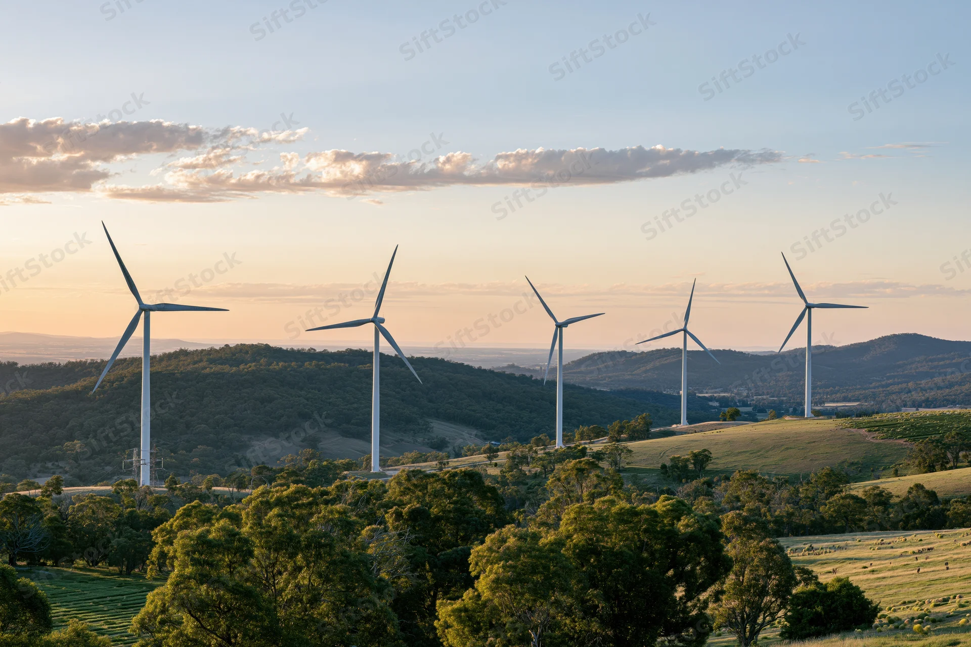 Wind turbines standing across a rolling green rural landscape at sunset