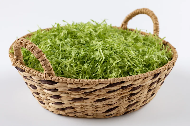 Woven wicker basket with two handles filled with bright green shredded paper on white background