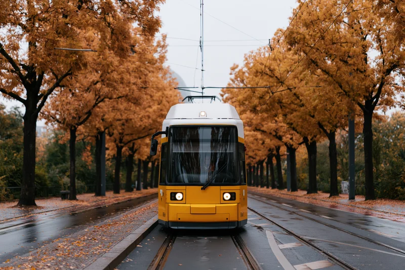 Yellow and white city tram moving along wet tracks lined with autumn trees on a boulevard