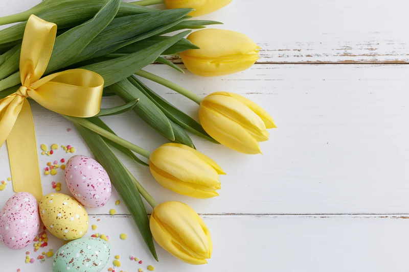 Yellow tulips with green stems tied with a satin yellow ribbon arranged with decorated easter eggs on a white wooden surface