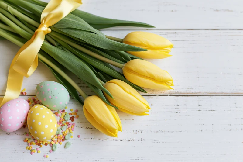 Yellow tulips tied with a satin ribbon arranged with decorated easter eggs and sprinkles on a white wooden surface