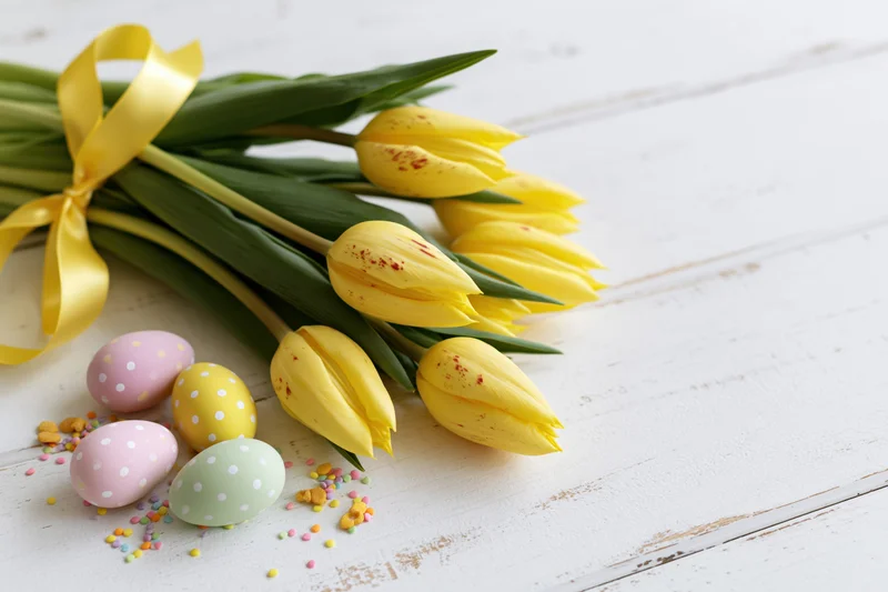 Yellow tulips tied with a satin ribbon arranged with decorated easter eggs on a white wooden table
