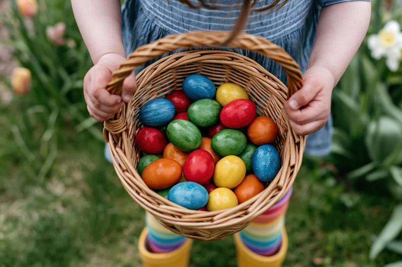 Child holding wicker basket filled with colorful dyed eggs in spring garden