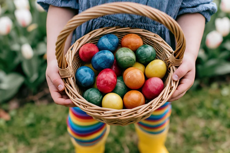 Child holding wicker basket filled with colorful dyed eggs in garden with tulips