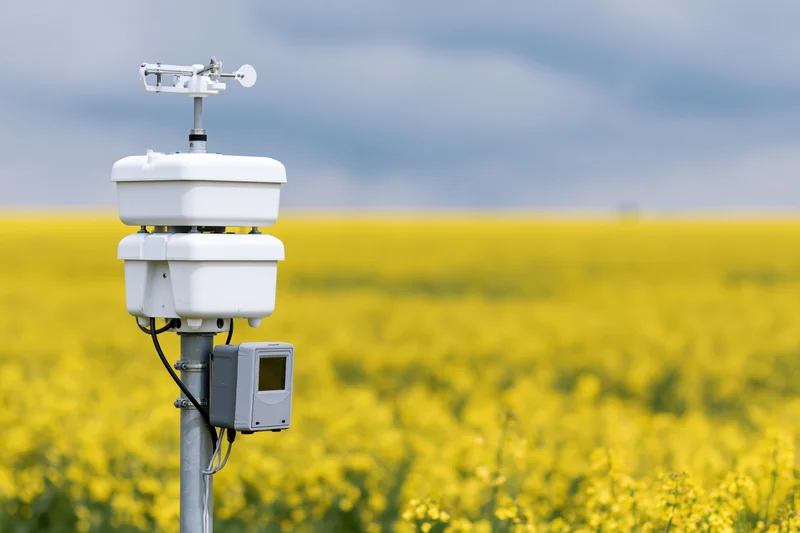 Compact weather station mounted on metal pole in canola field