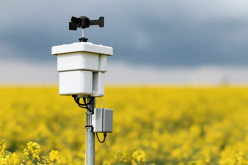 Compact weather station mounted on metal pole in yellow canola field under cloudy sky