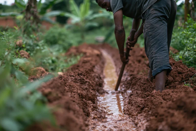 Black man digging irrigation channel with hoe in red soil field